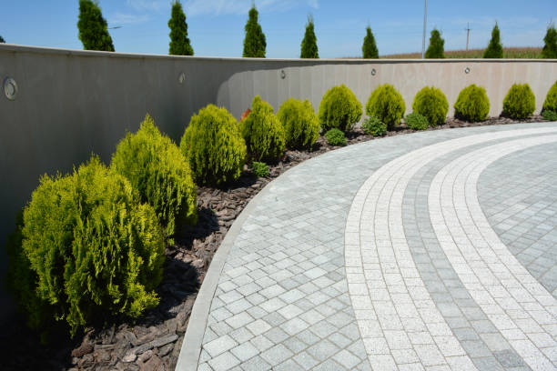 Reasons to Select Us for Your Driveway Paving Requirements in Saranap, CA